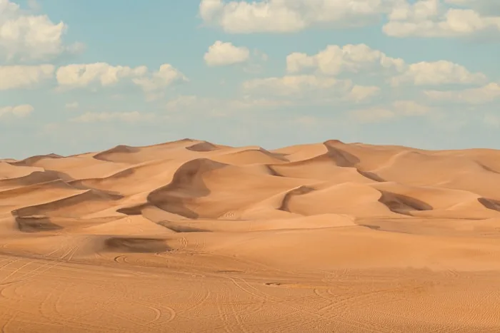 Arabian Desert - Dune drives and camps beyond the city lights