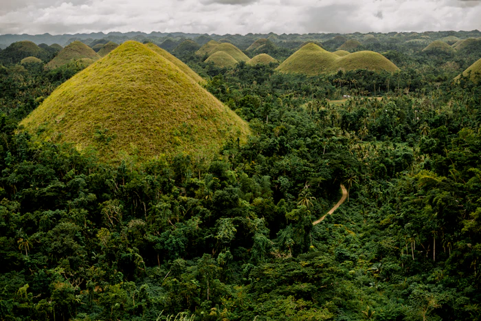 Bohol - The Chocolate Hills, tarsiers and the Loboc river