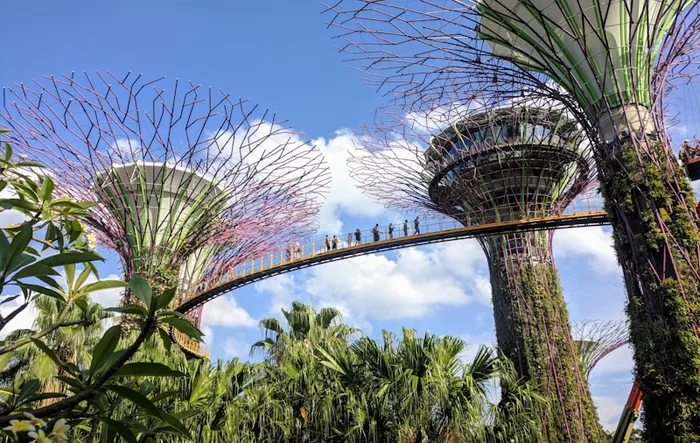 Gardens by the Bay - Supertrees and two glasshouses beside the bay