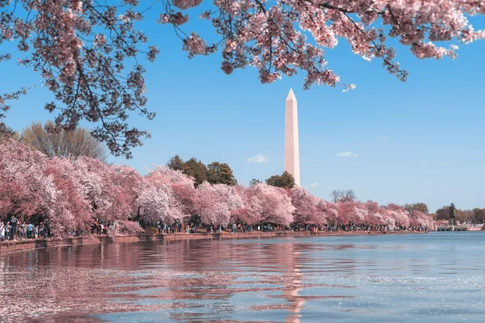 Washington DC - Monuments, museums and memorials