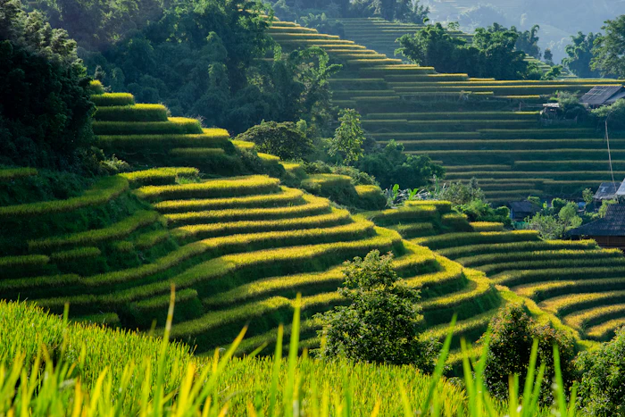 Sapa - Terraced rice hills and hill-tribe villages up north